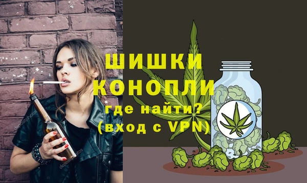 шишки Волосово