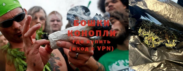 шишки Волосово