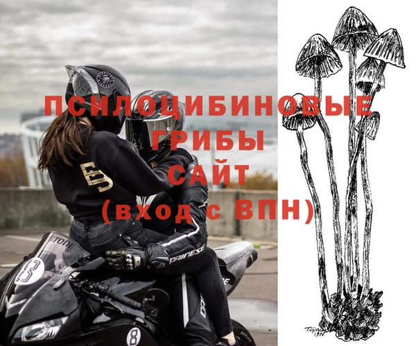 шишки Волосово