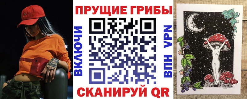 omg   Рудня  Псилоцибиновые грибы мицелий 